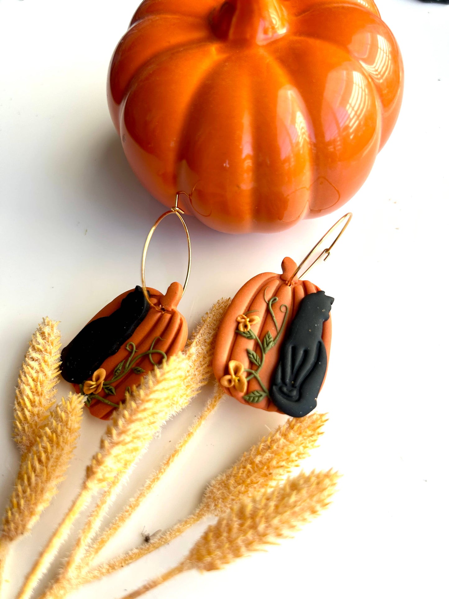 Black Cat Pumpkins