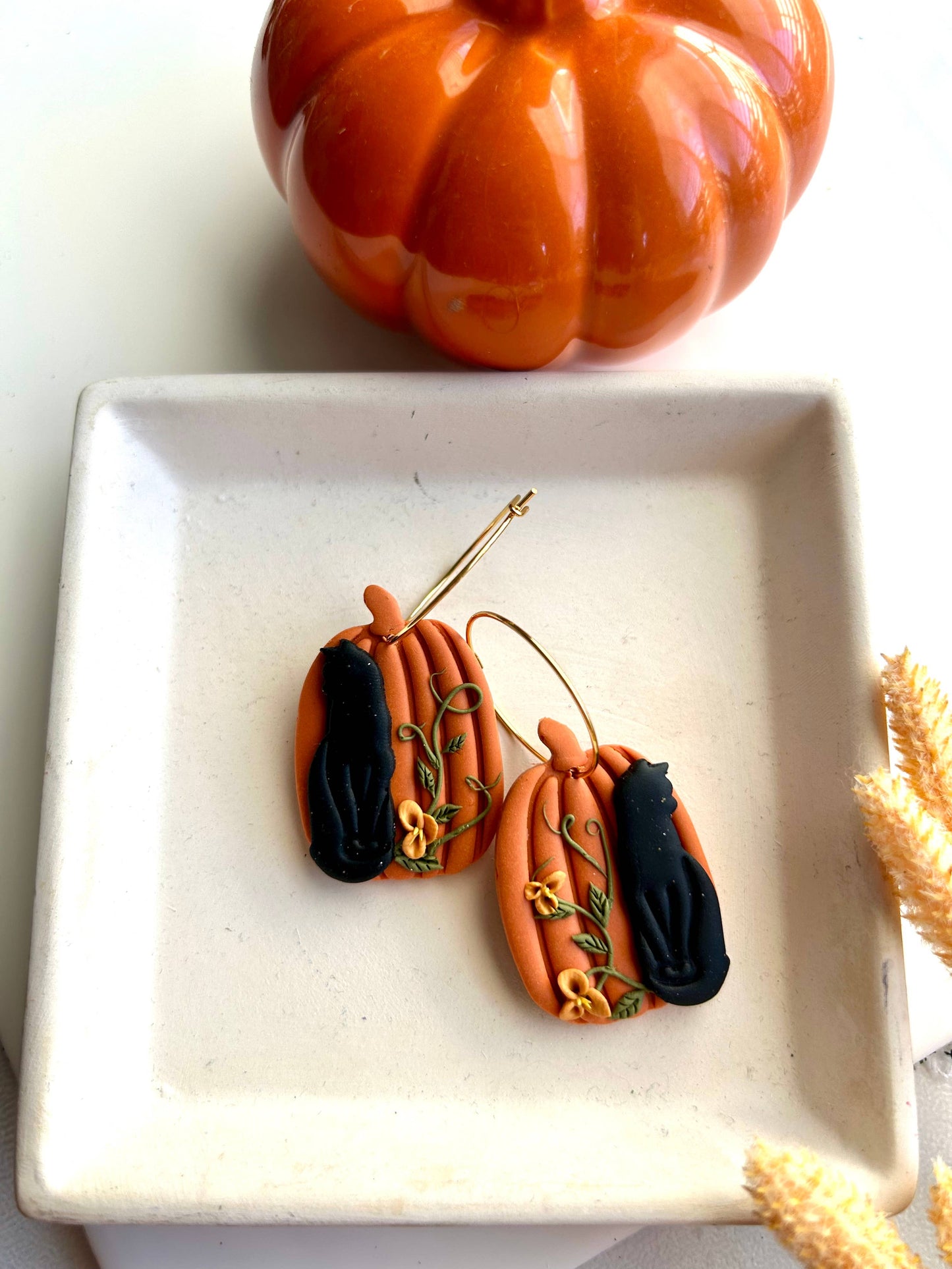 Black Cat Pumpkins