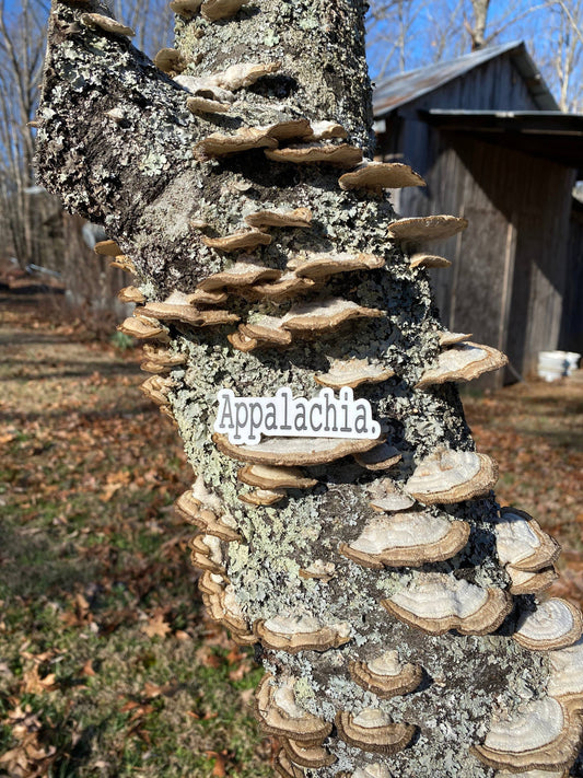 Appalachia Sticker, mountains, hollers, Gift for Appalachia